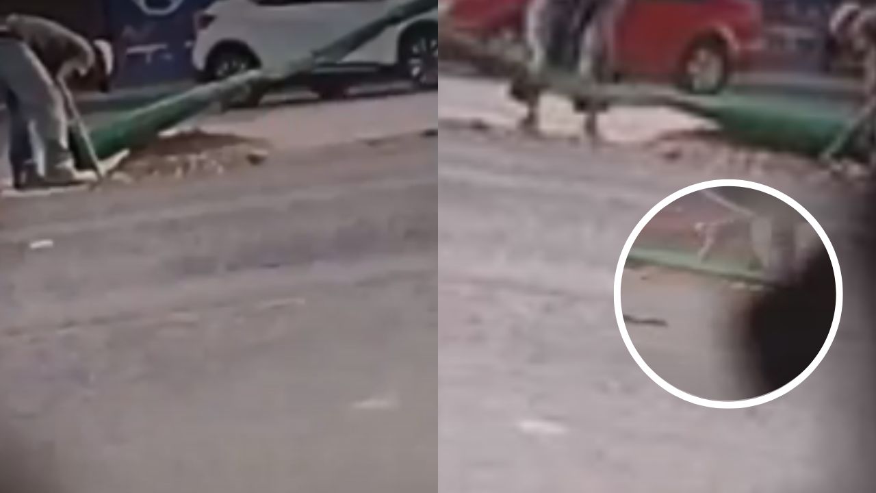 Video: ladrones son embestidos por automóvil cuando robaban cables de un poste de luz