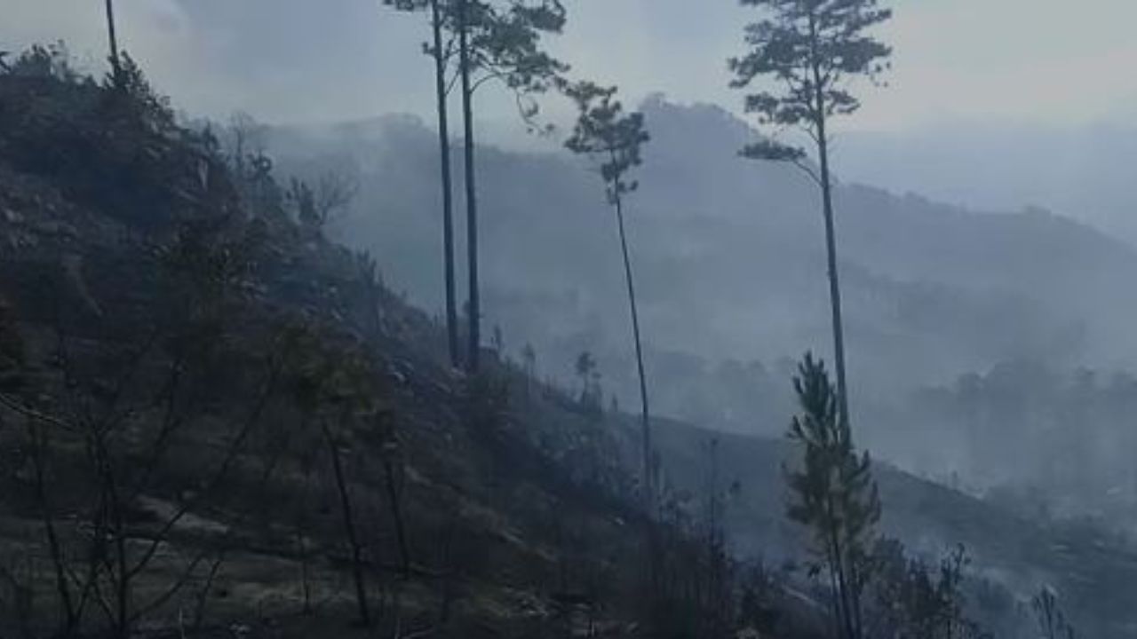El peligro persiste en El Hatillo y  sectores aledaños pese a que el incendio fue sofocado