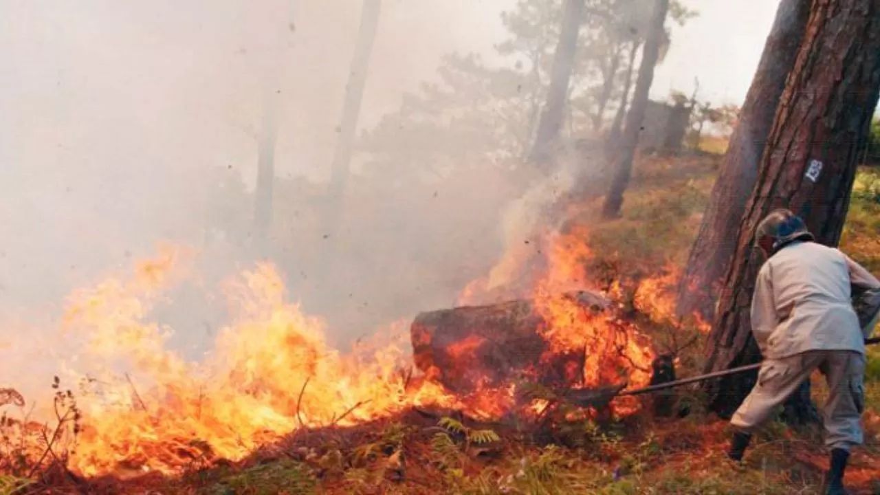 Incendios consumen Santa Lucía y Ojojona, reporta Cuerpo de Bomberos