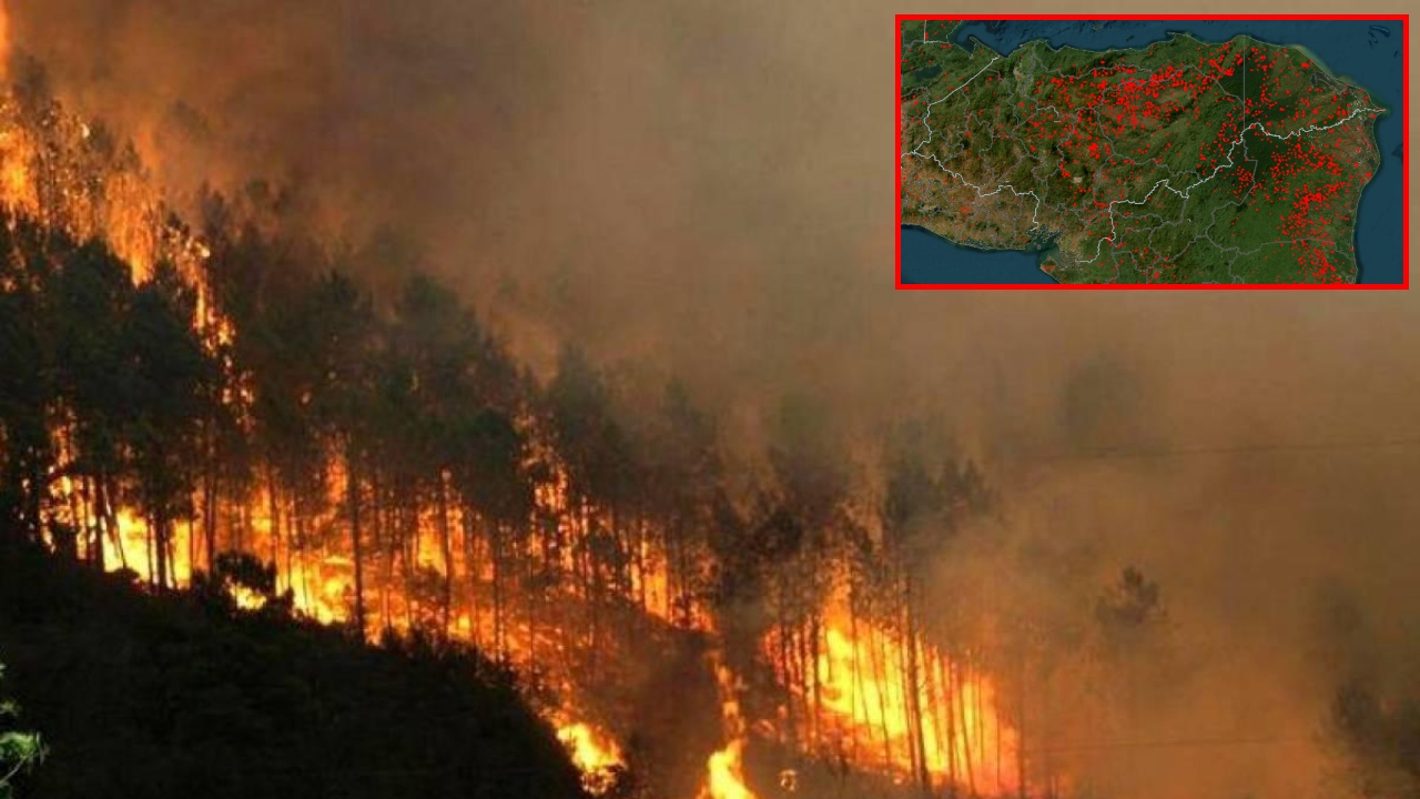 Honduras celebra el Día de la Tierra con llamado a protegerla ante repunte de incendios