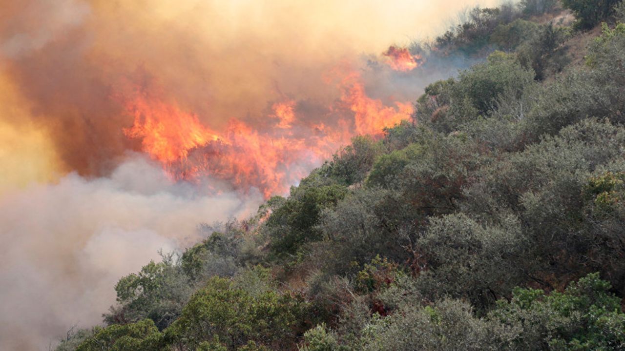 Editorial HRN: Incendios forestales y permisiva institucionalidad