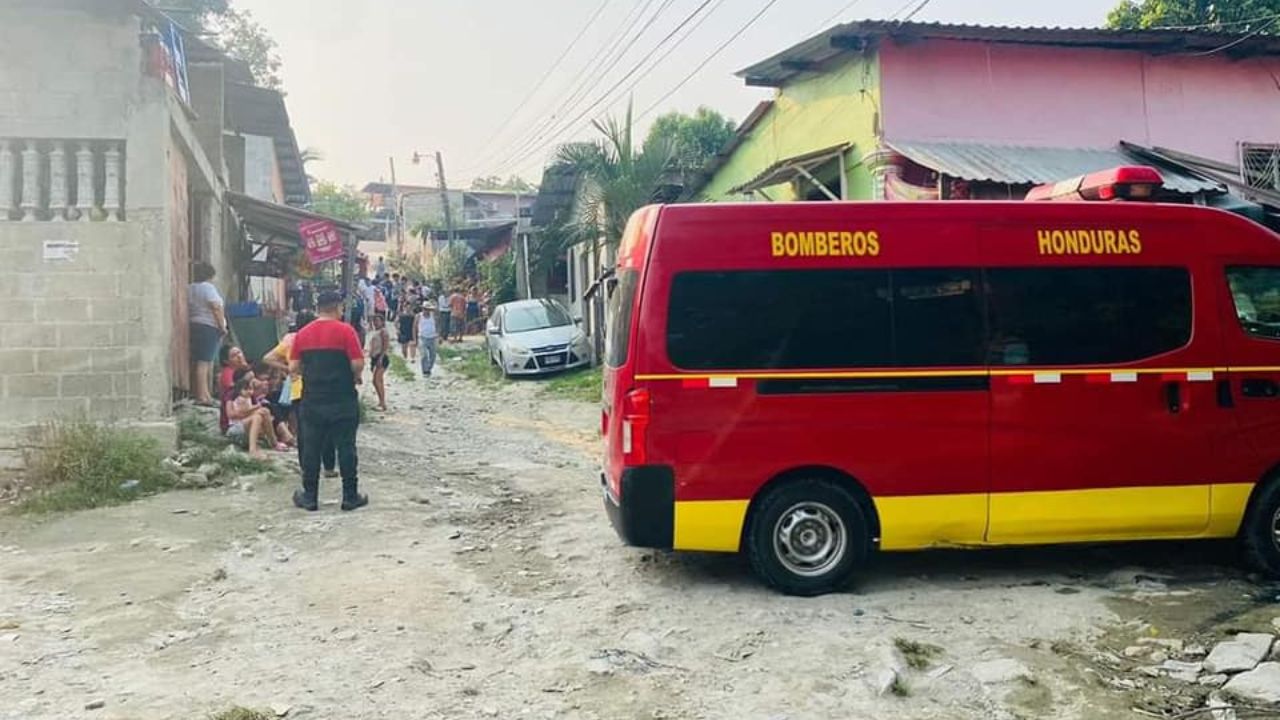 Hondureño muere al caerse de árbol de mango en Choloma