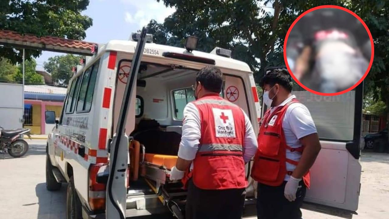 'Estaba cortando palma': joven muere en accidente laboral en una finca en Choloma, Cortés