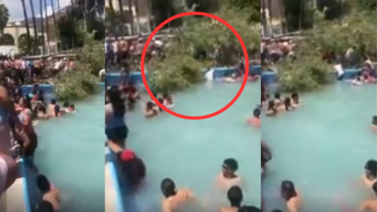 Niño de 11 meses muere en balneario tras caerle árbol de 15 metros de alto en México