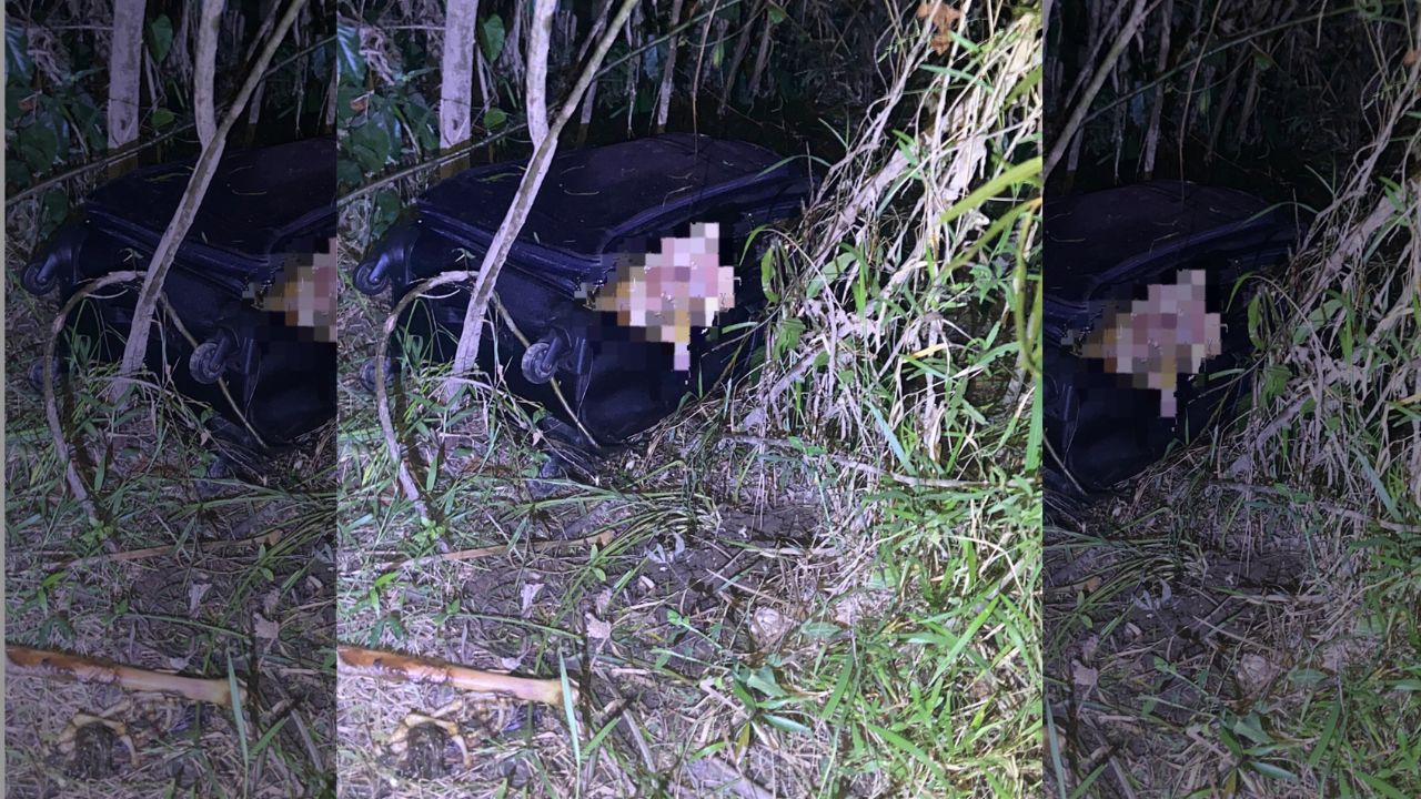 Dentro de una maleta encuentran cuerpo desmembrado en La Ceiba, Atlántida