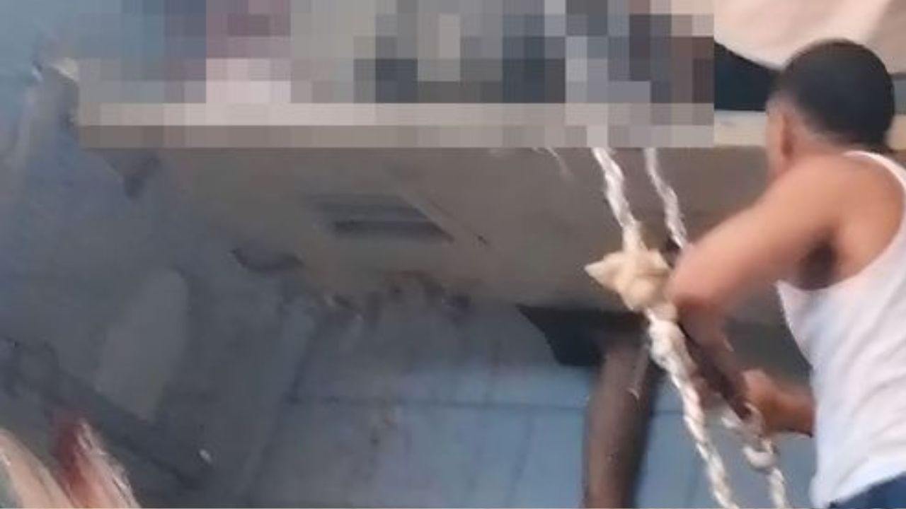 Identifican a reo muerto durante reyerta en 'El Pozo I' de Santa Bárbara