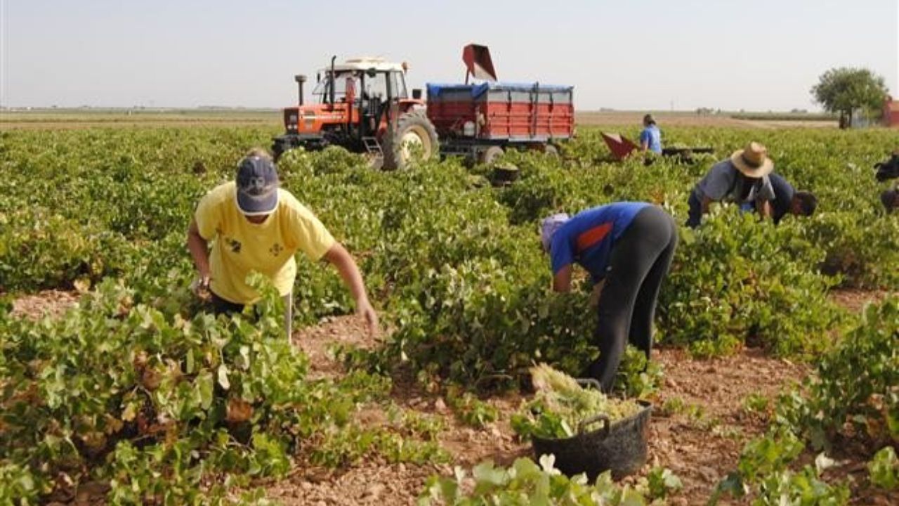 Inversión agrícola y trabajo integral, sugieren expertos para seguridad alimentaria