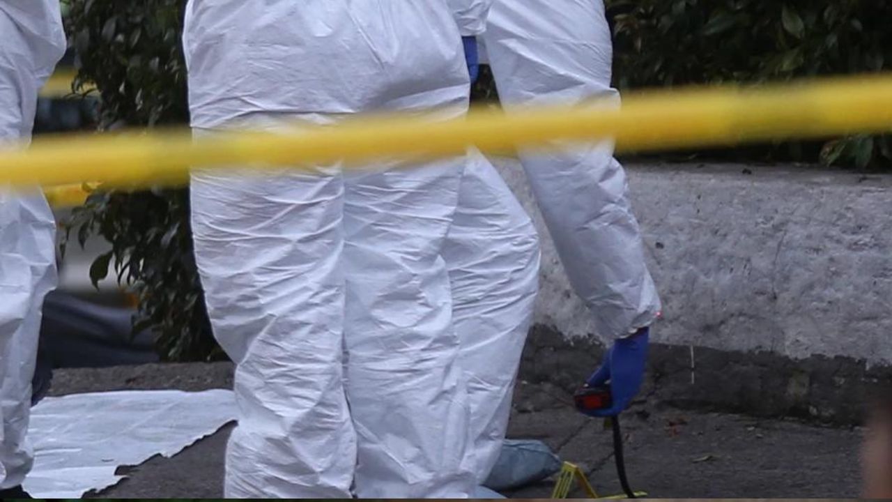 Mató a su vecino cuando este golpeaba a su propia madre en plena calle