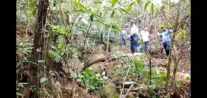 Imagen de cuerpo de nota