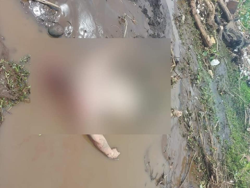 Imagen de cuerpo de nota