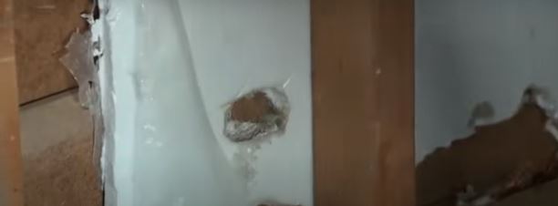 Imagen de cuerpo de nota