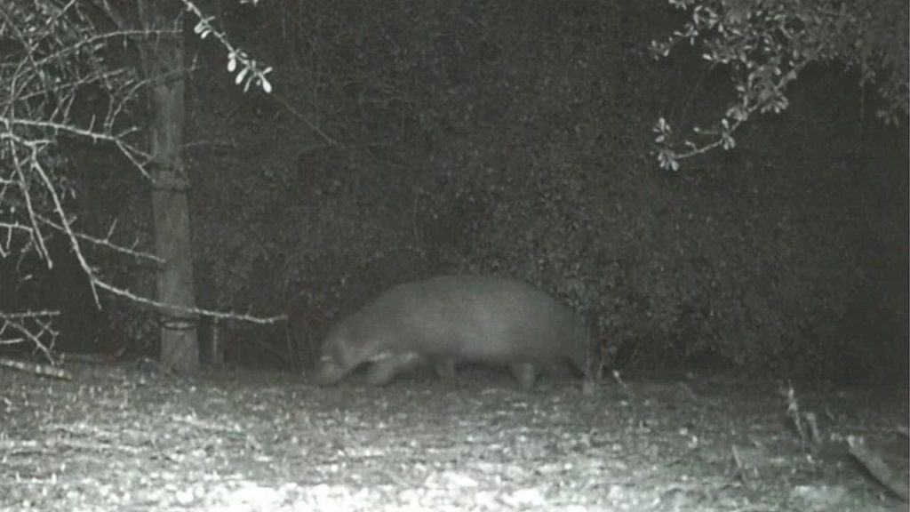 Imagen de cuerpo de nota