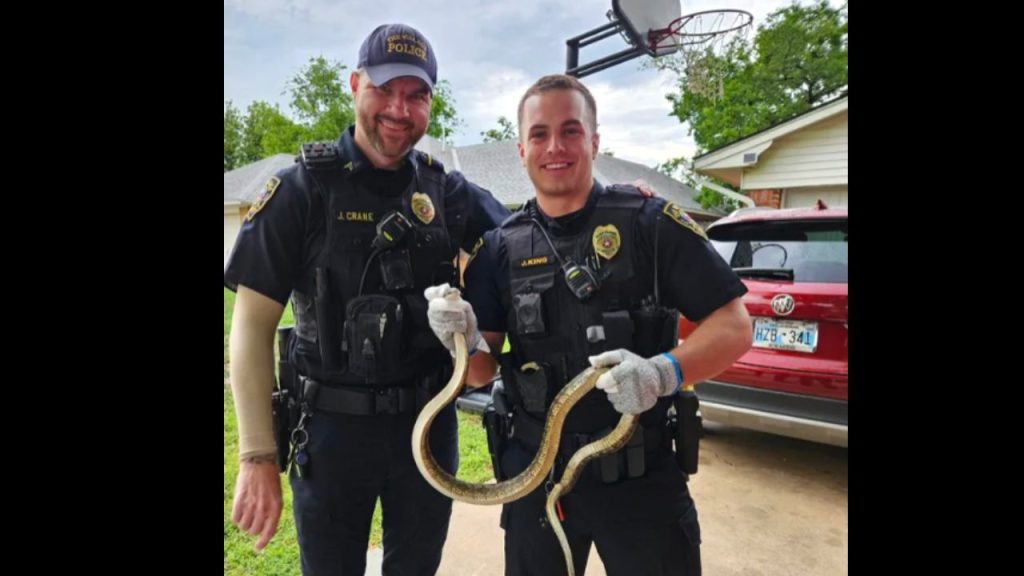 Imagen de cuerpo de nota