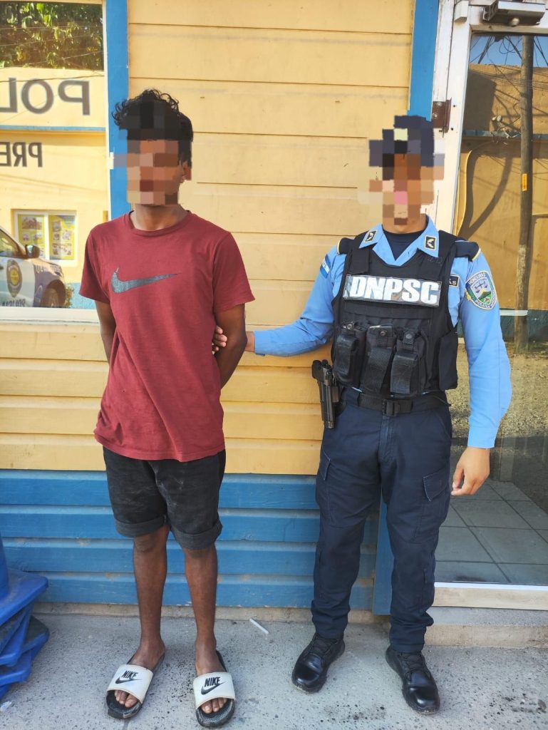 Imagen de cuerpo de nota