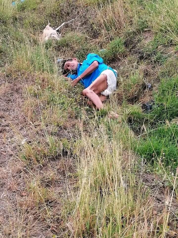 Imagen de cuerpo de nota