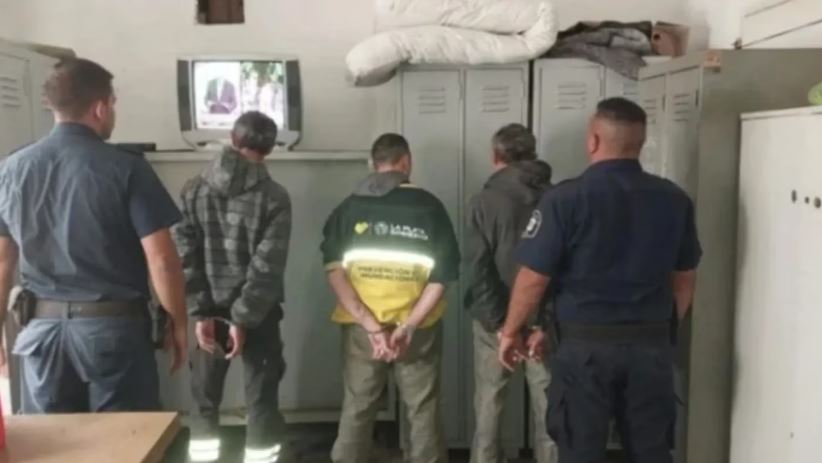 Imagen de cuerpo de nota