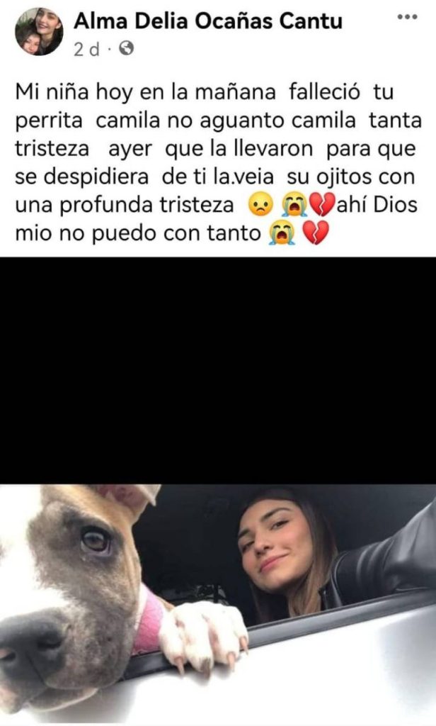 Imagen de cuerpo de nota