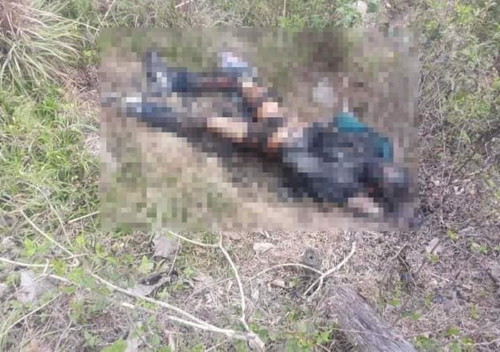 Imagen de cuerpo de nota