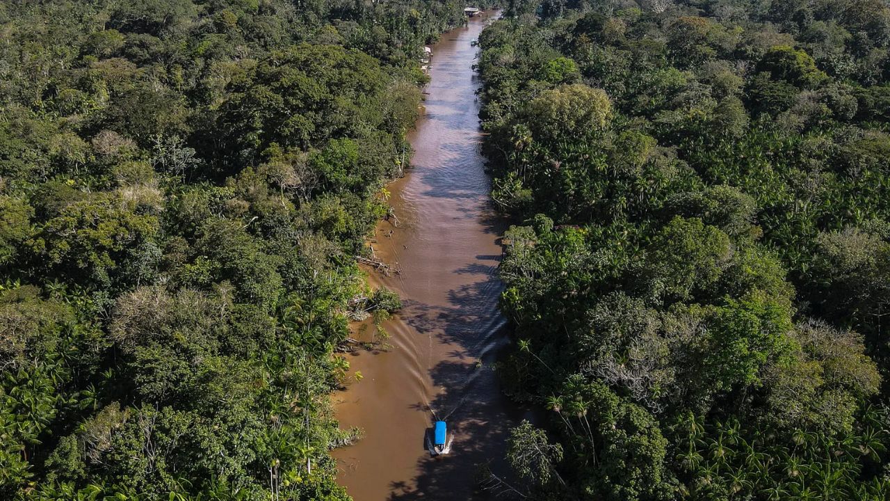 El Banco Mundial propone un nuevo modelo de desarrollo para la Amazonía brasileña