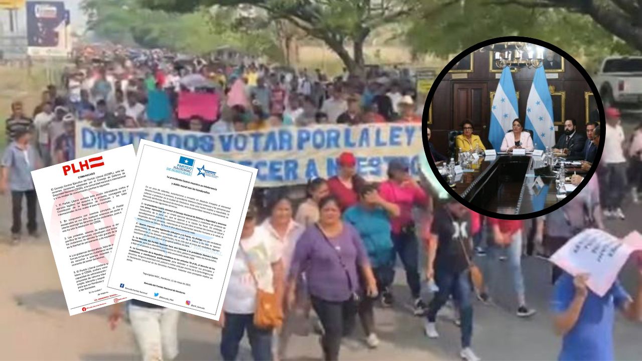 Partidos Nacional y Liberal, en contra de acciones del CNDS; Rodolfo Pastor: 'se debe evitar la anarquía'