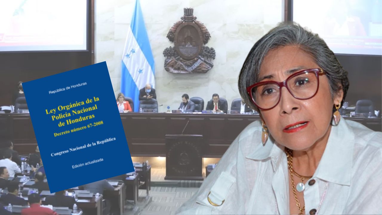 Con Ley Orgánica, CN se ha convertido en órgano de persecución: Maribel Espinoza
