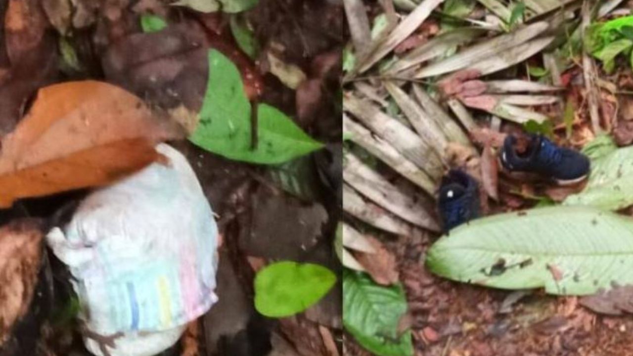 Imagen de 'El duende los carga': abuelito de 4 hermanitos que se perdieron hace 20 días en la selva