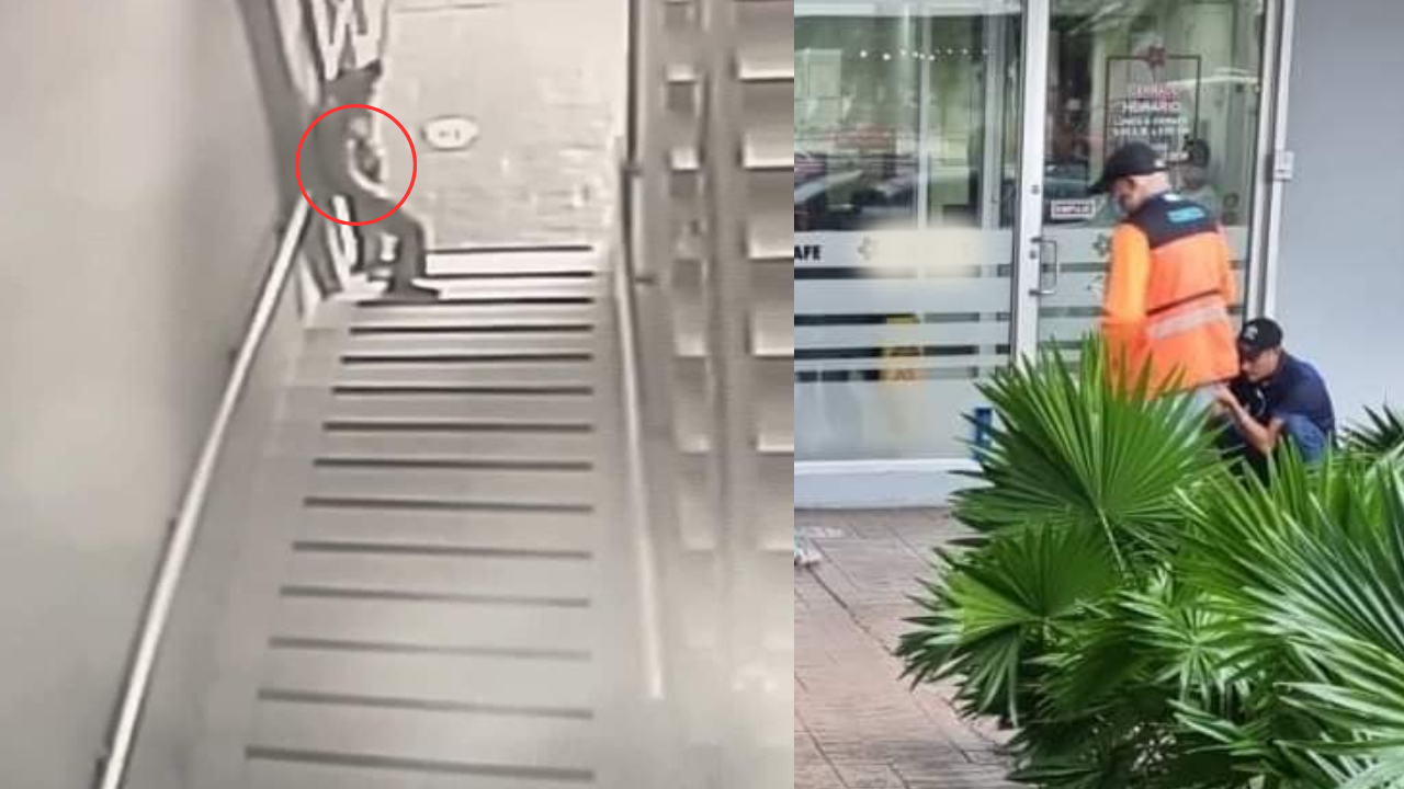 ¡Imágenes sensibles! Con arma de trabajo guardia hondureño toma fatal decisión