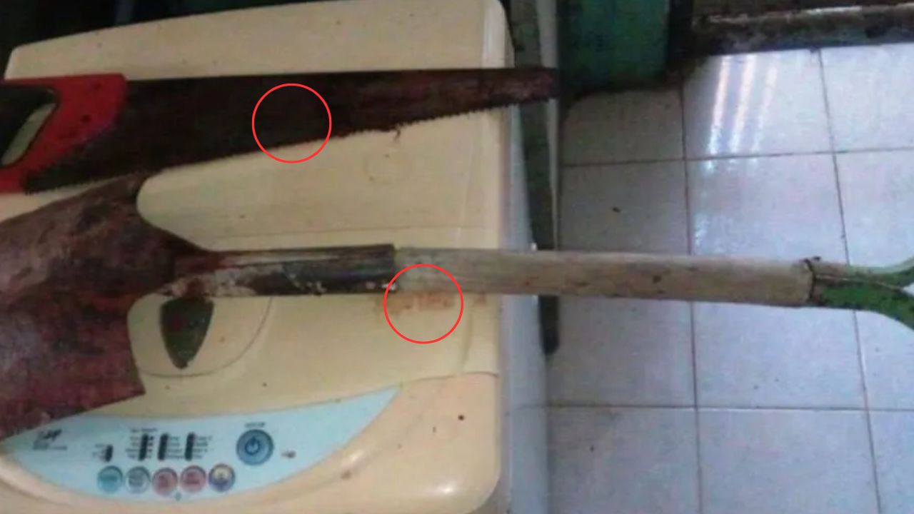Hombre apuñaló a su mamá y luego la desmembró; andaba bajo los efectos de las drogas