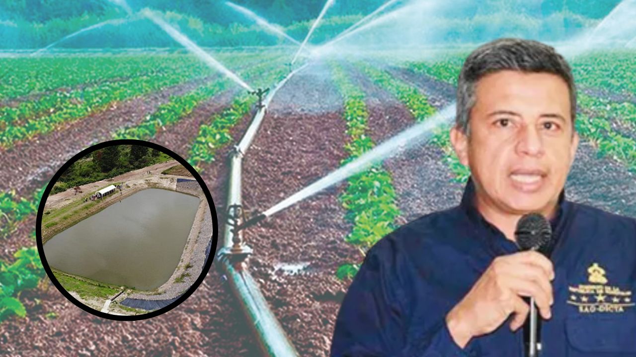 Imagen de No hay inversión en sistemas de riego ni gestión hídrica en Honduras: Guillermo Cerritos