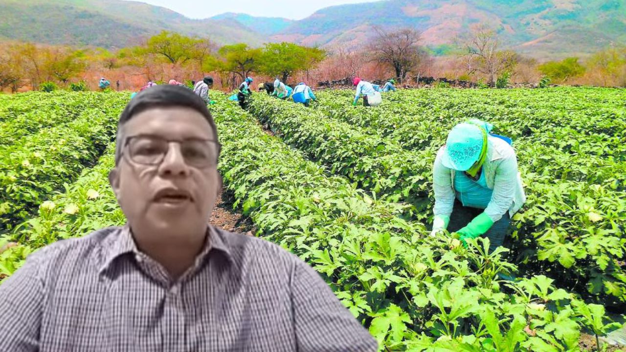 Fenagh pide ser parte de socialización el proyecto de ley de Justicia Tributaria