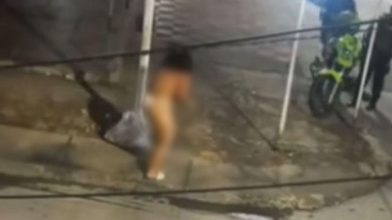 Imagen de VÍDEO: Esbelta mujer solo con bikini ataca a machetazos a policía en plena calle