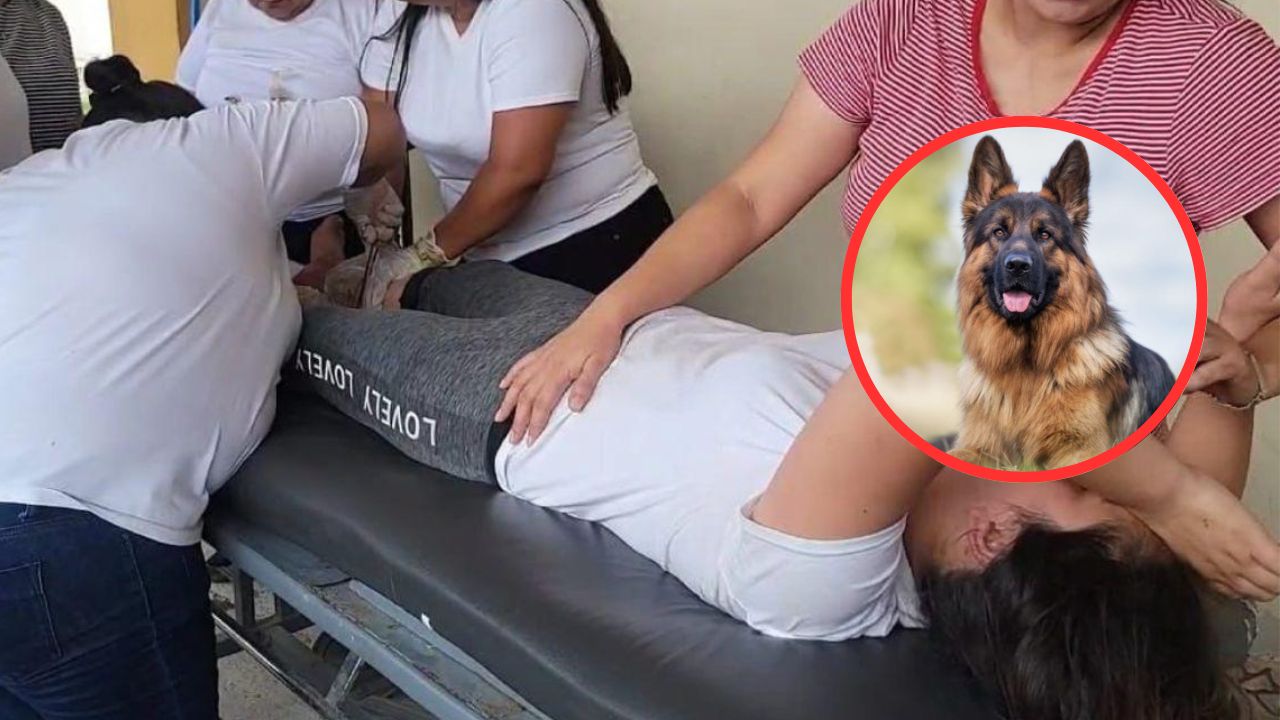 Madre fue atacada salvajemente por un pastor alemán cuando llevaba a su bebé en brazos en Copán
