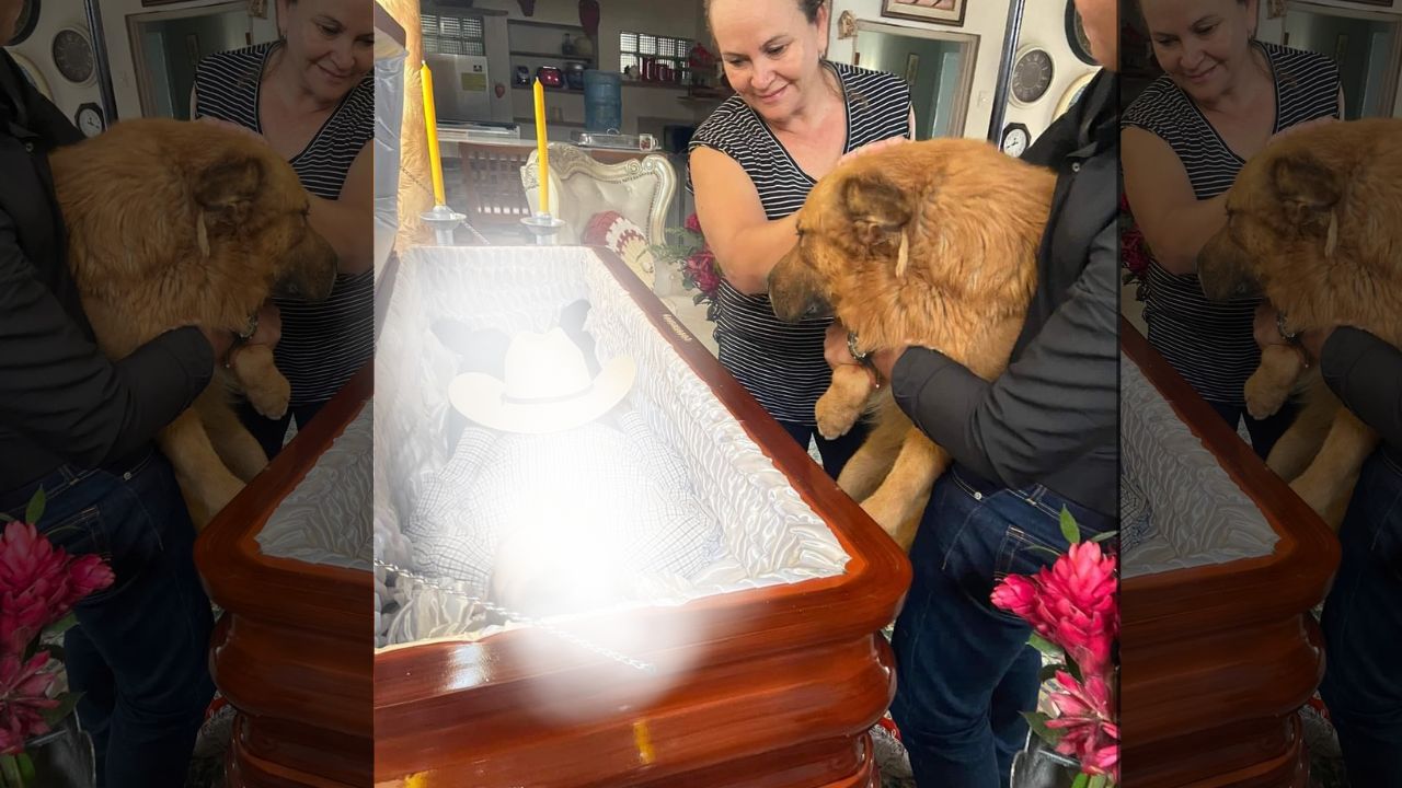 ¡Conmovedor! Perro despide a su amo en su funeral