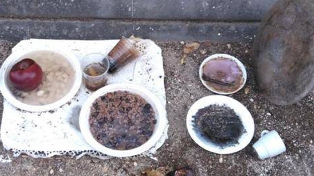 Imagen de cuerpo de nota