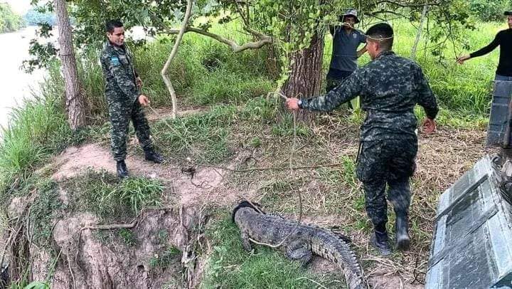 Imagen de cuerpo de nota