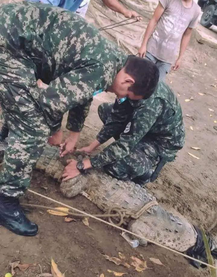 Imagen de cuerpo de nota