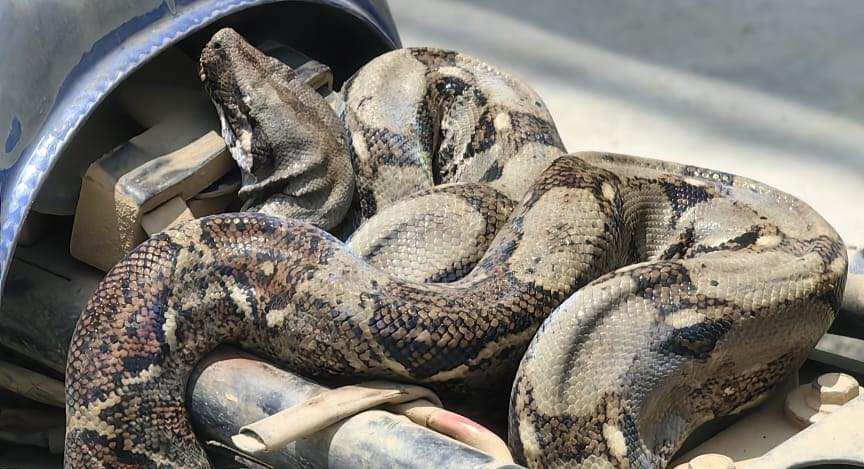 Imagen de cuerpo de nota