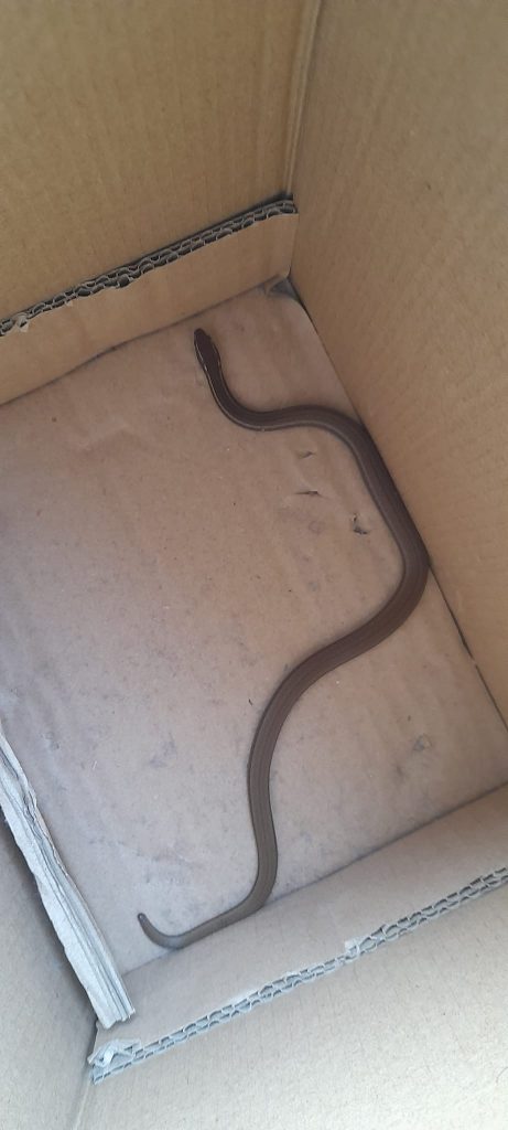 Imagen de cuerpo de nota