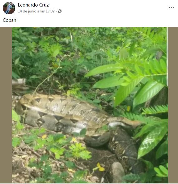 Imagen de cuerpo de nota