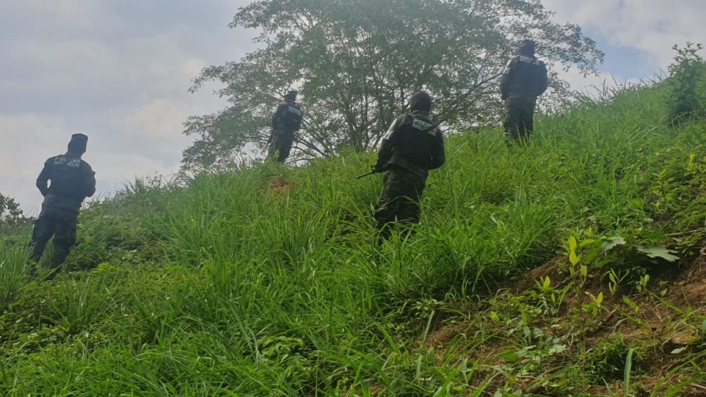 Imagen de cuerpo de nota