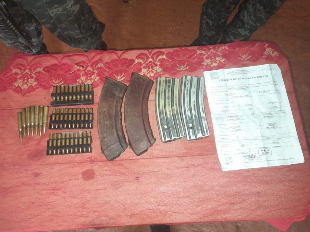 Imagen de cuerpo de nota