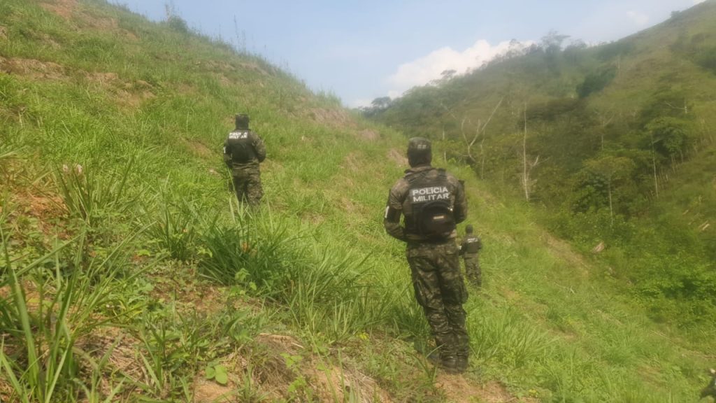 Imagen de cuerpo de nota