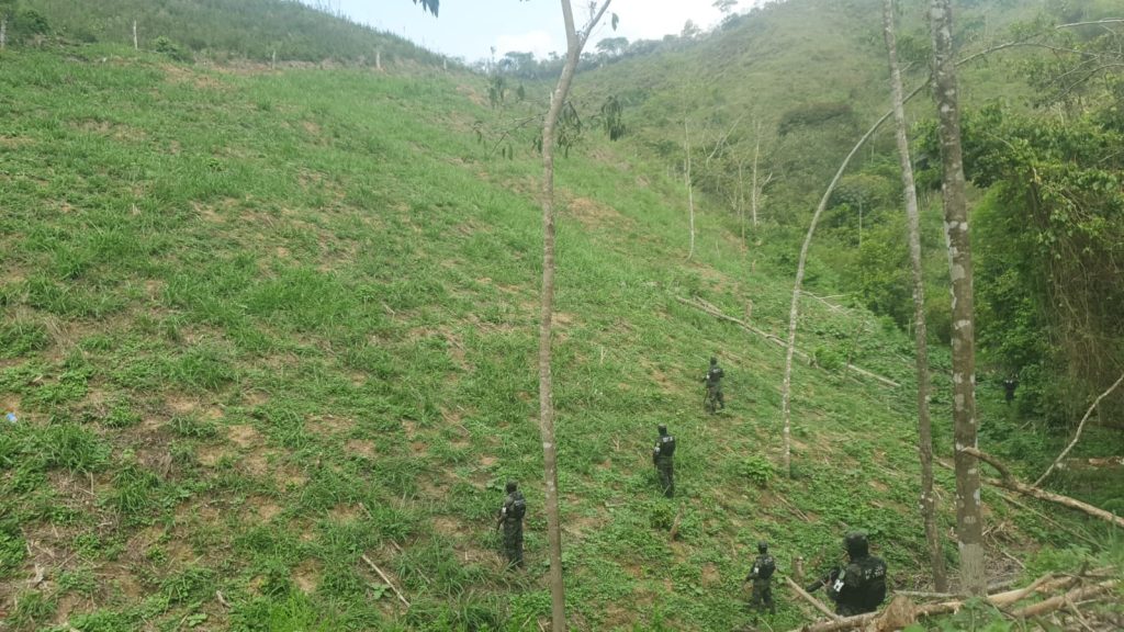 Imagen de cuerpo de nota