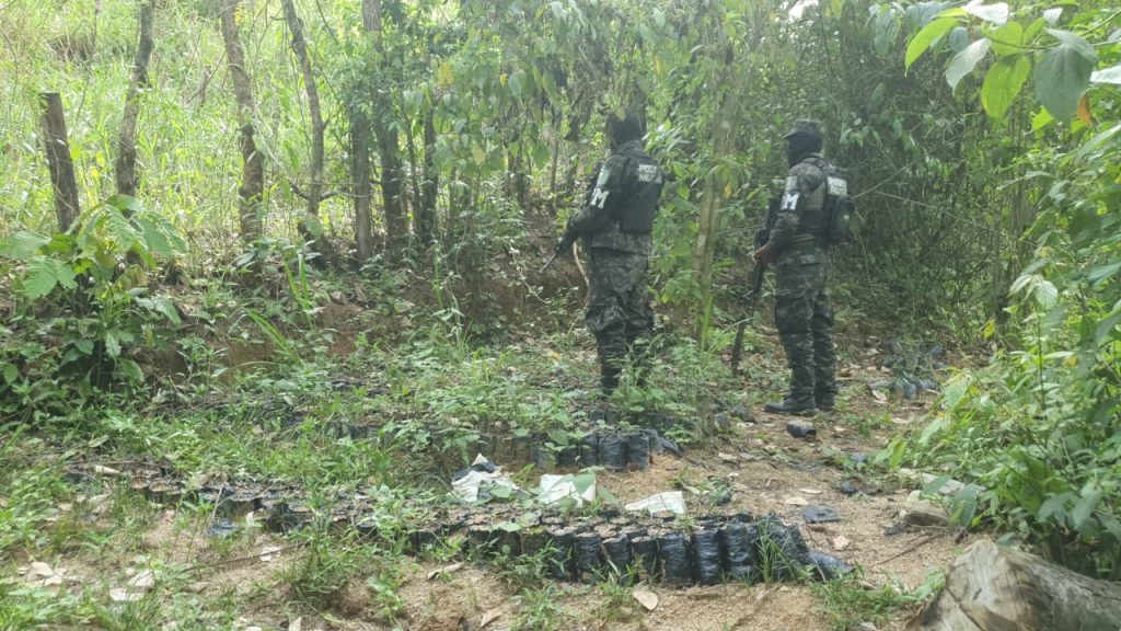 Imagen de cuerpo de nota