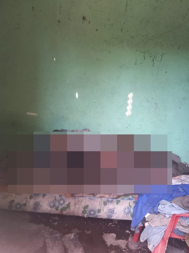 Imagen de cuerpo de nota