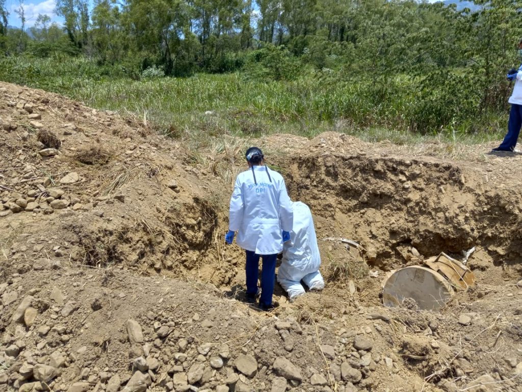 Imagen de cuerpo de nota