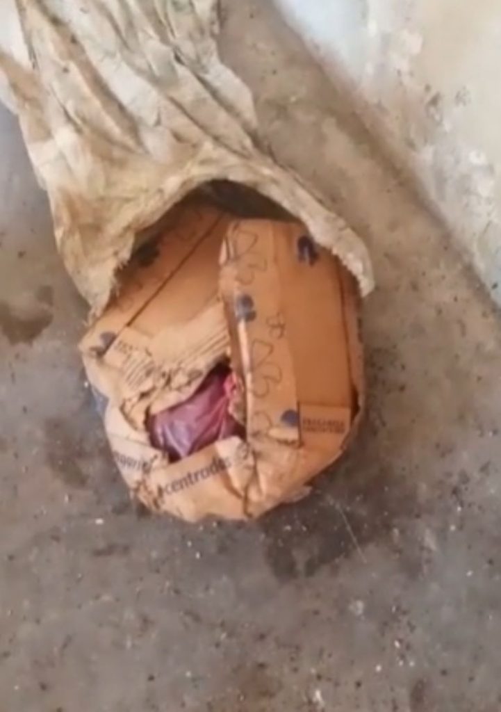 Imagen de cuerpo de nota