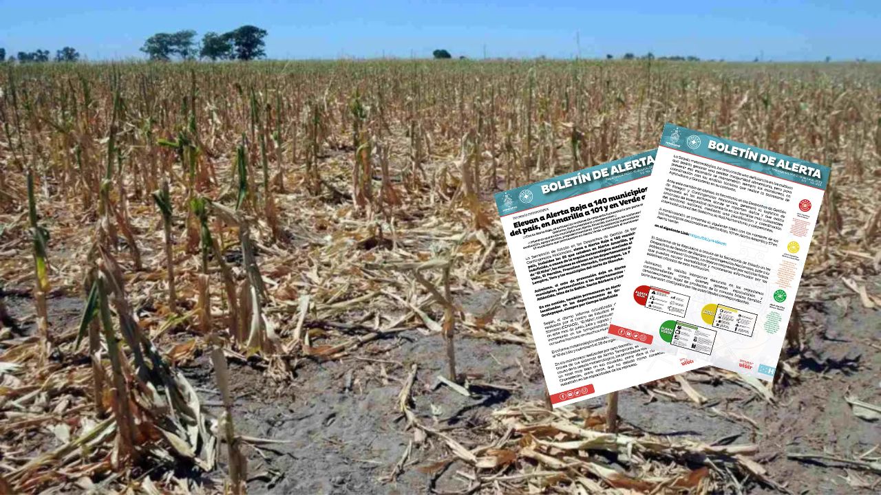 Copeco emite alerta roja para 140 municipios de Honduras por sequía meteorológica