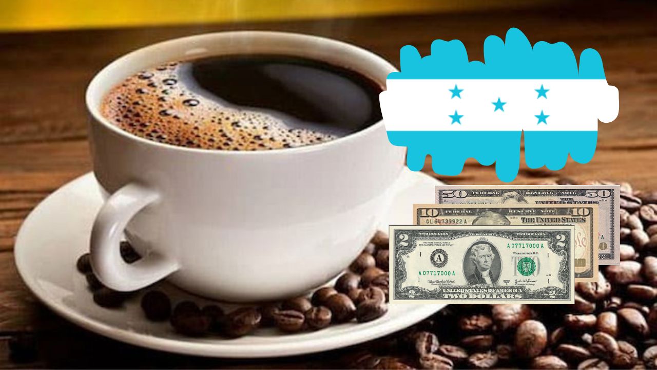 Imagen de Pagan 62 dólares por una libra de café hondureño especial en una subasta internacional