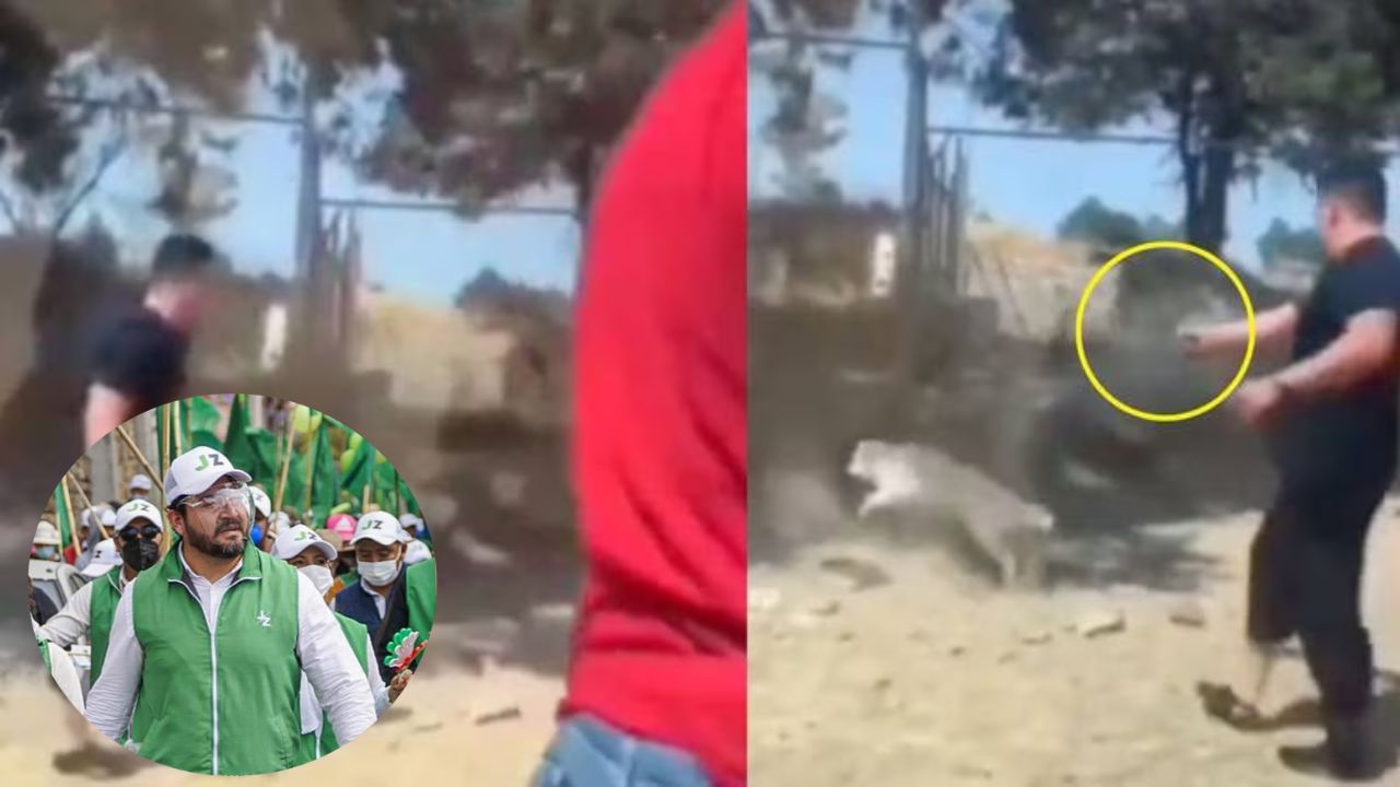 Imagen de VIDEO SENSIBLE: candidato político mata a perrito con arma de fuego